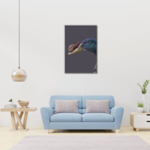 Duck nose snail relationship showing photo painting