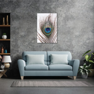 Peacock tail feather wall art design | Canvas paintings